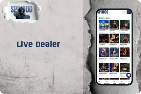 SpinDog Live Dealer Spellen